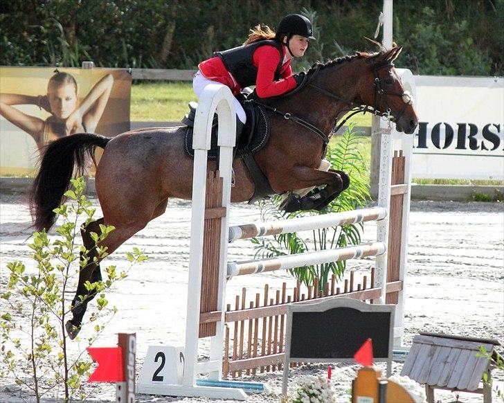 Belgisk Sportspony Magic Ball A-Pony - Baltic cup 2011 Lille tour FEI stævne Internationalt billede 2