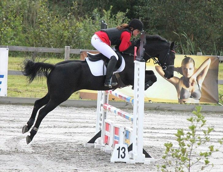 Tysk Sportspony Inaara A-Pony - Mb** FEI stævne baltic cup. 15 plads 0 fejl billede 3