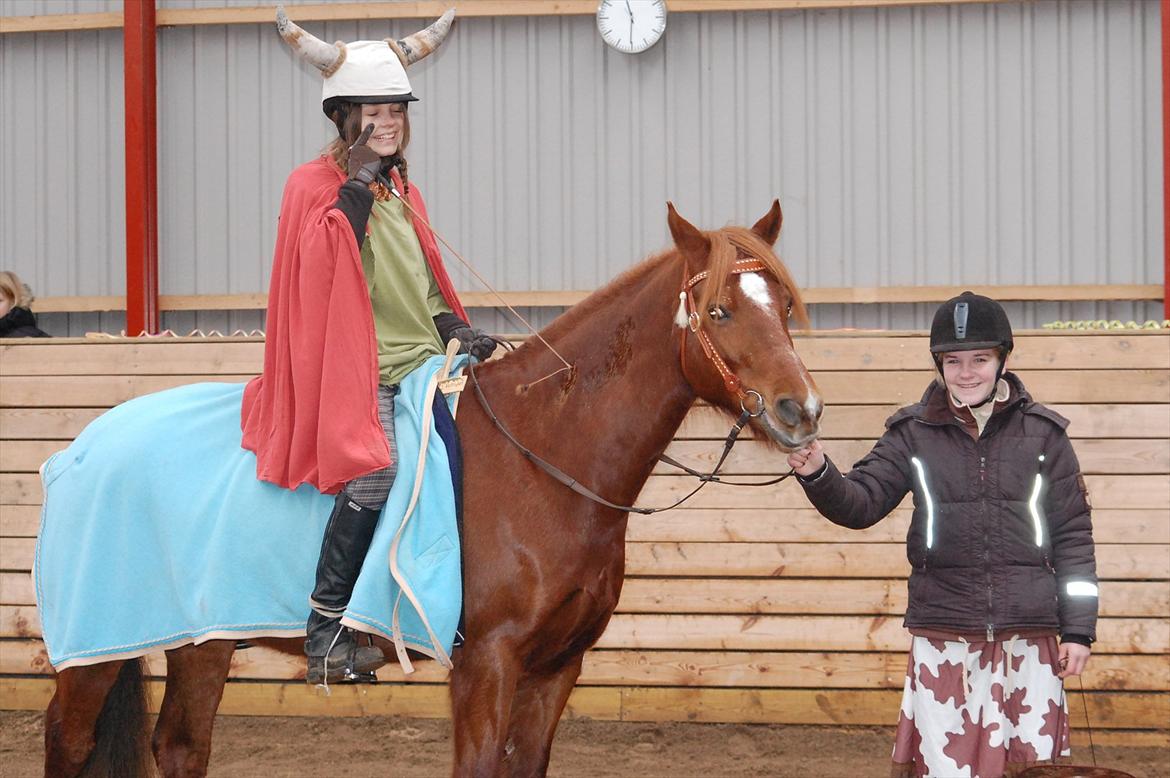 Anden særlig race Hudson - Cecilie, Hudson og Ellen til fastelavnsringridning :-D billede 8