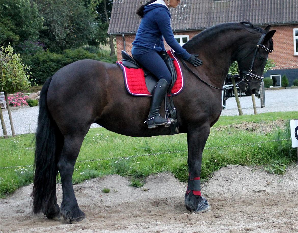 Frieser Linda A billede 18