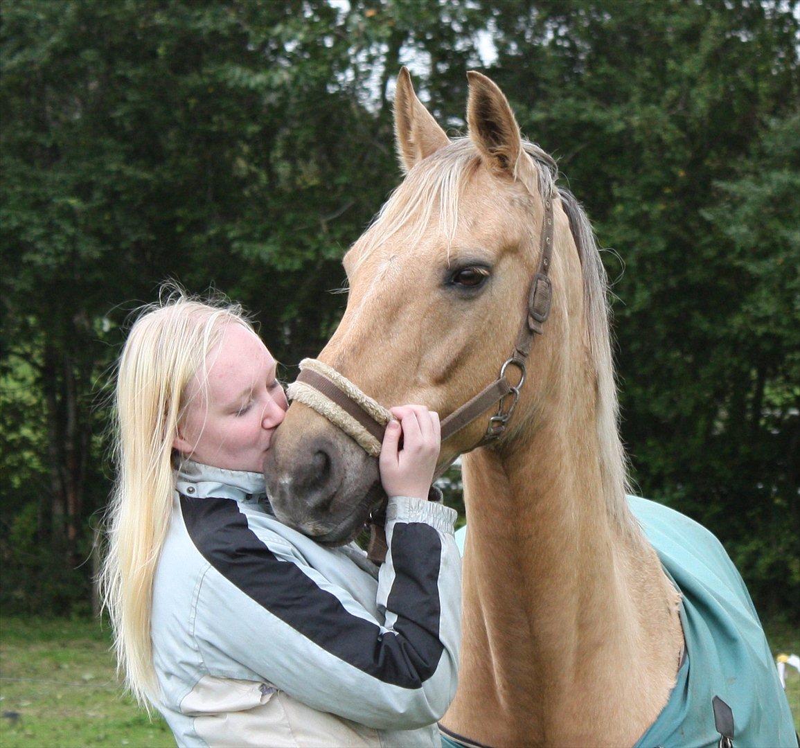 Palomino Surprise (har lånt) billede 9