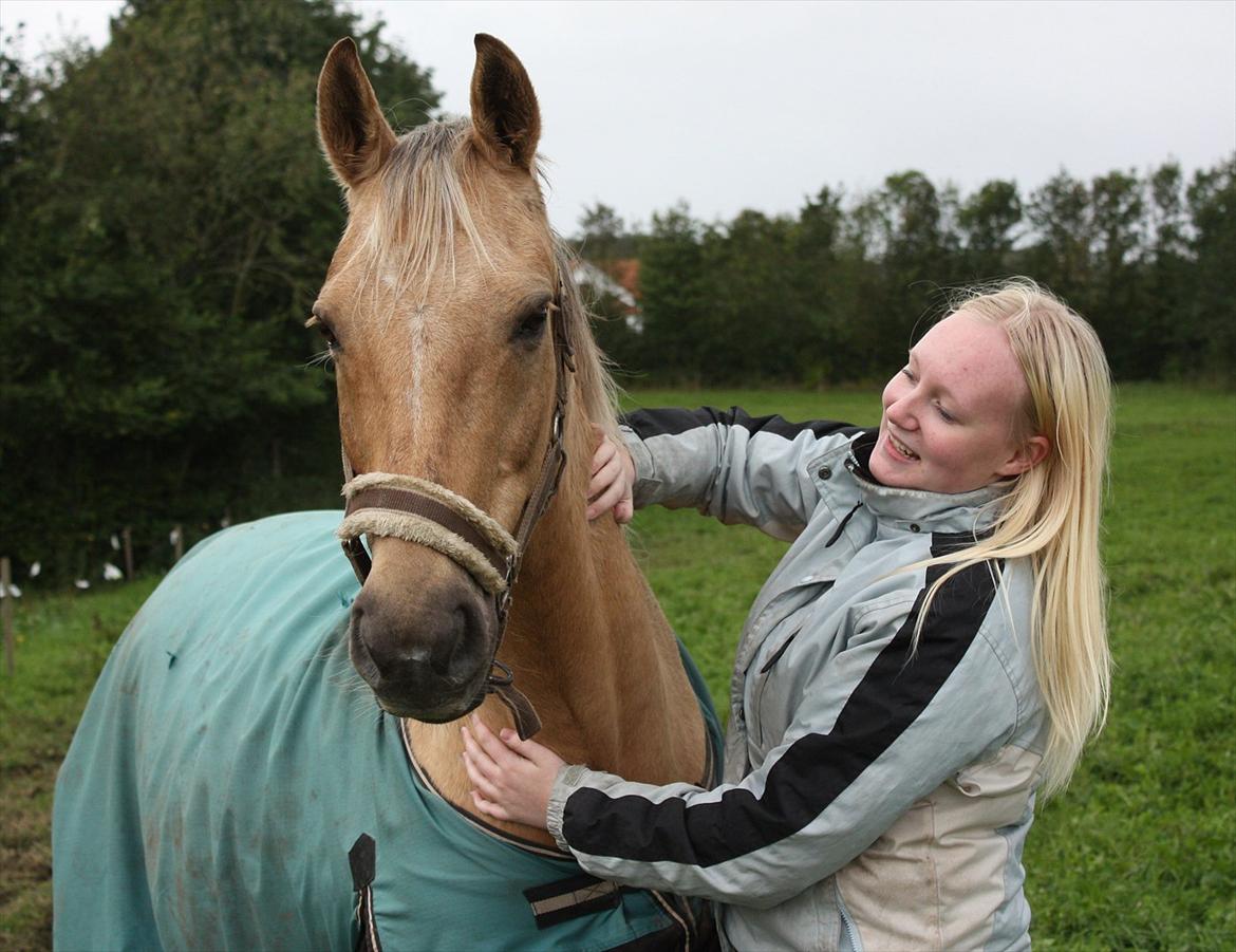 Palomino Surprise (har lånt) billede 10