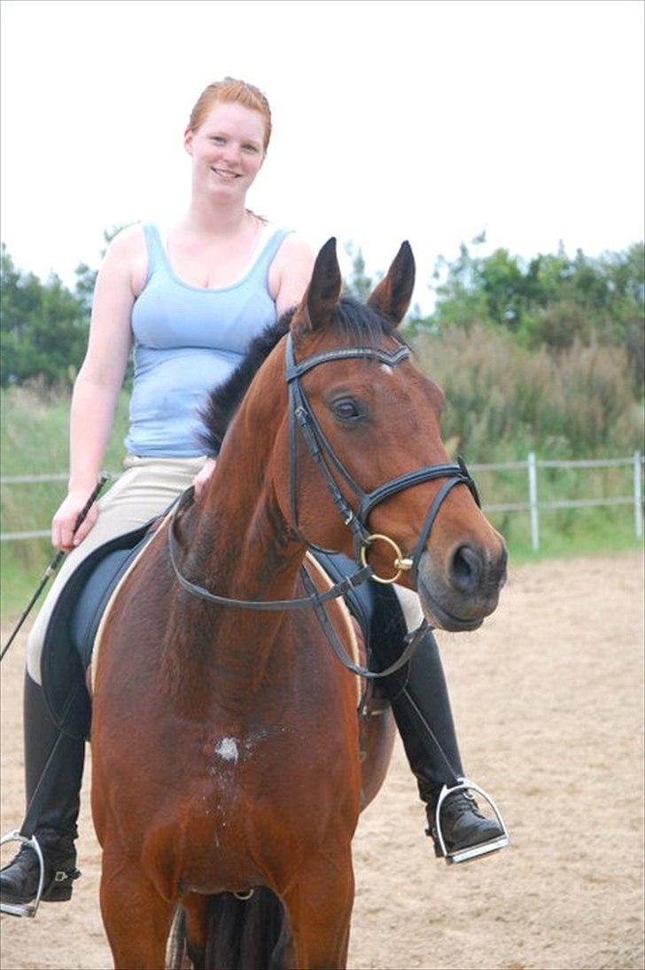 Dansk Varmblod Luciel (Tidl. Låne Hest) billede 18