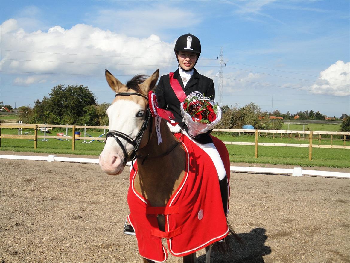 DSP Gloria  B-Pony - Distriktsmester 2011 i distrikt 5 <3 
Gloria elsker dig, du er bare fantastist<33 billede 14
