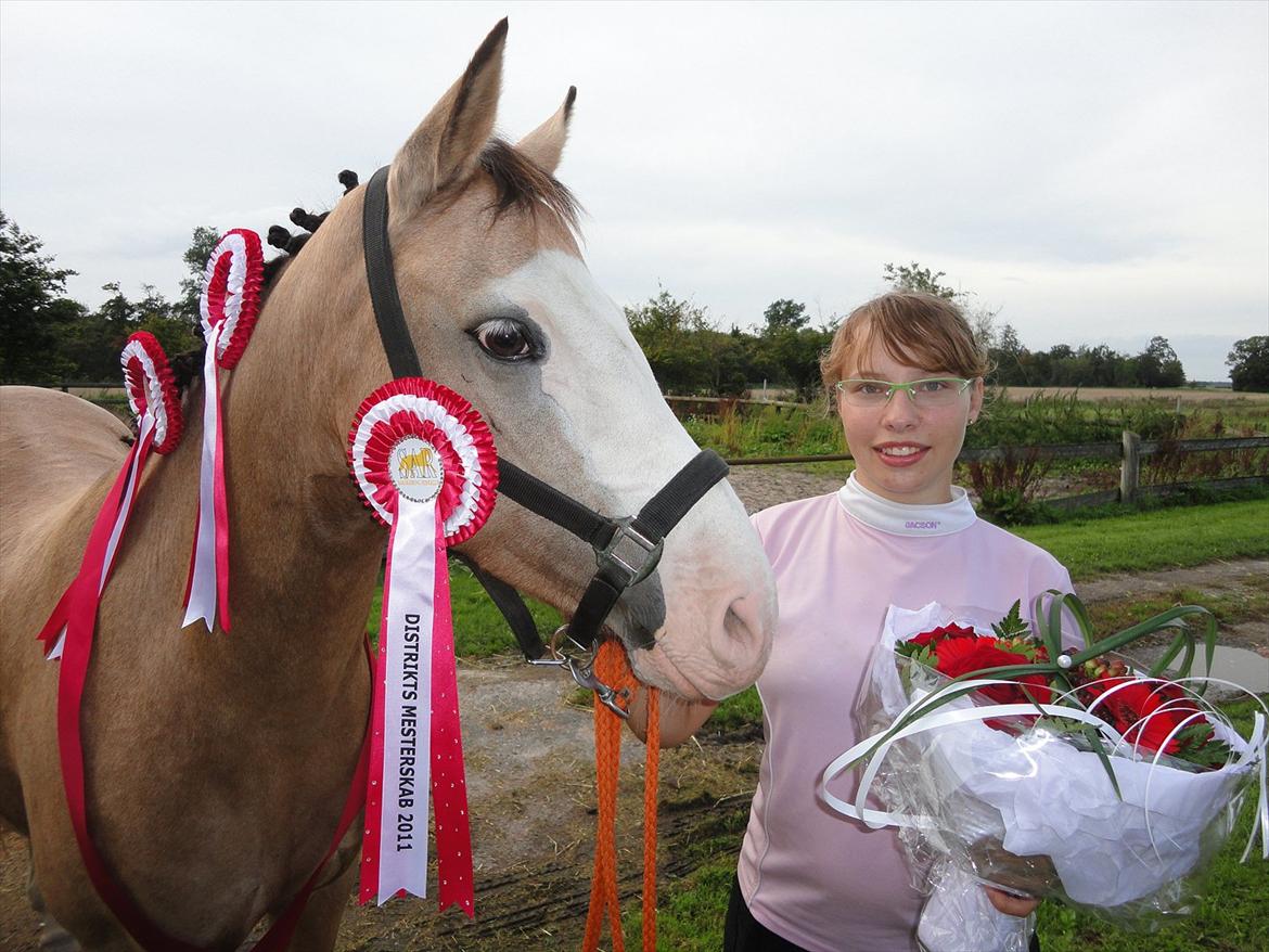 DSP Gloria  B-Pony - Høsten fra stævnet på SAR d. 10-11/9- 2011 
Havde en fantastisk pony <3 billede 15