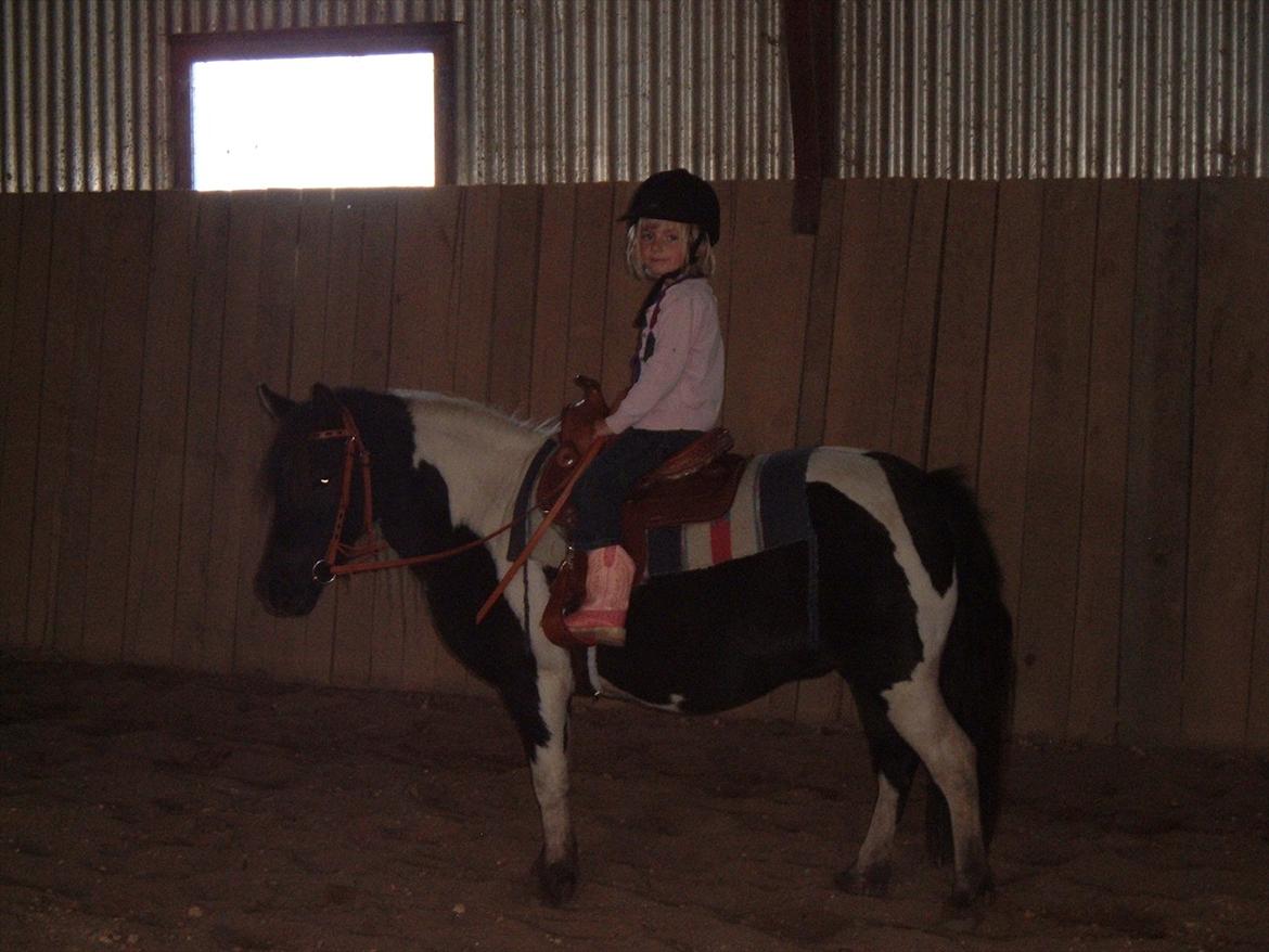 Anden særlig race Jo jo billede 11