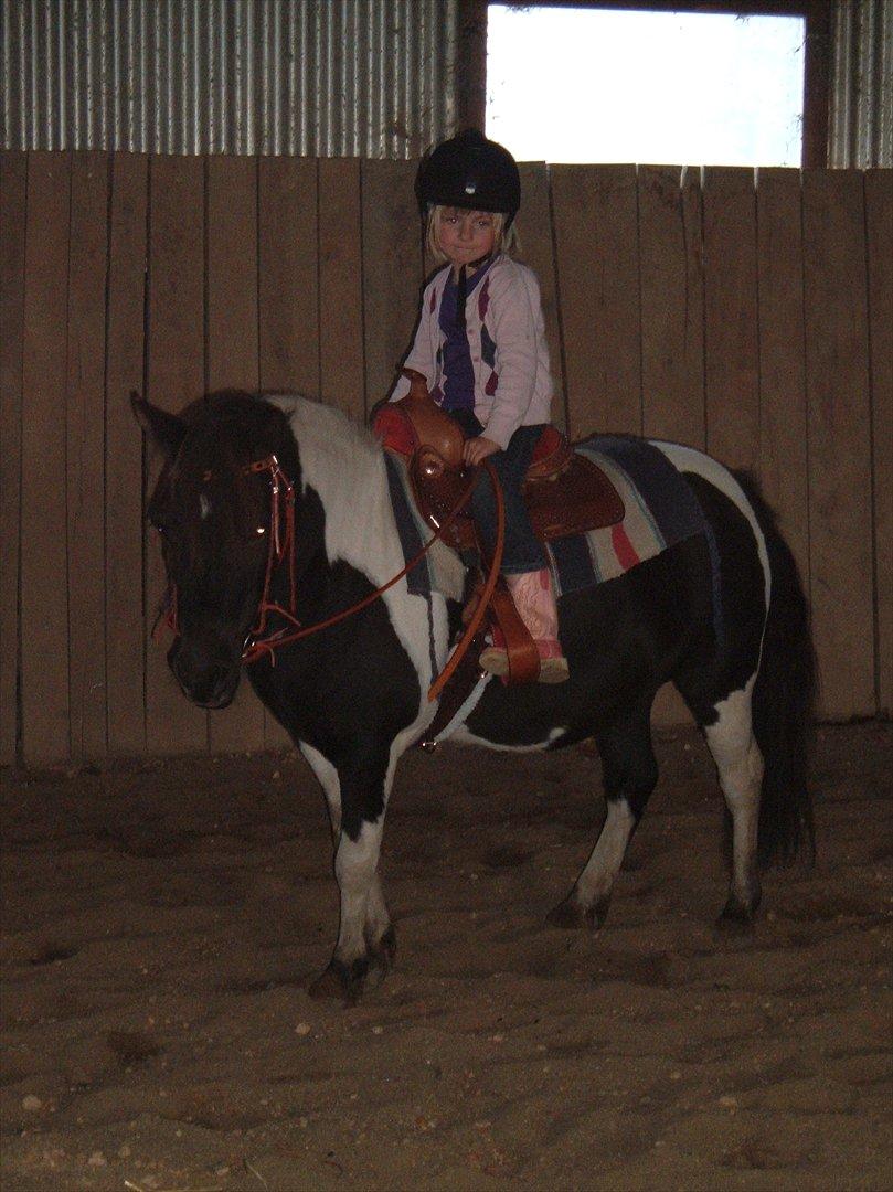 Anden særlig race Jo jo - Laura og jojo med nyt udstyr. billede 12