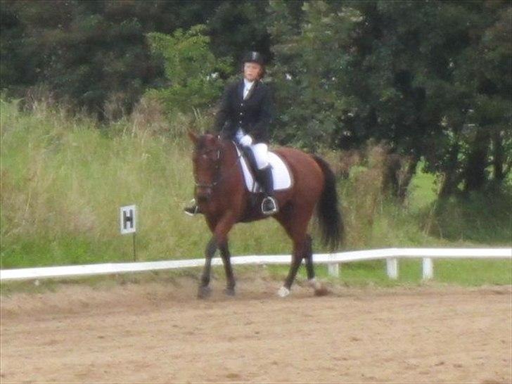 Anden særlig race Florentine - LC1 VHRK d. 10/9-11
Vi vandt med 160 point og 66,667% billede 16