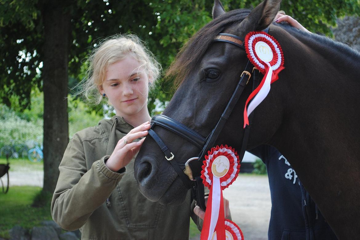 Hollandsk Sportspony Stuntman - Min babyyyyy og jeg!  billede 7