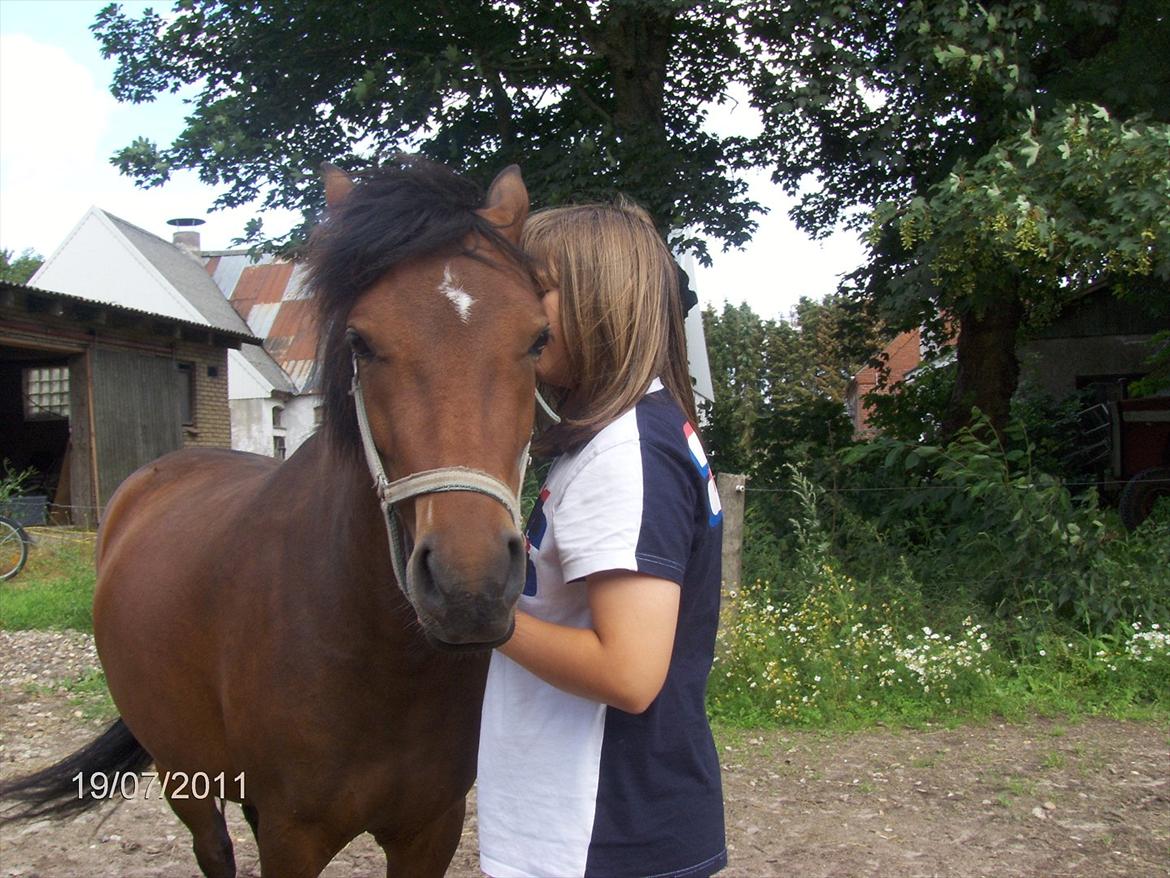DSP yasmin - fik lige lyst til til at gå amok med kameraet sammen med min søster og vi var så heldige at hestene stod hjemme og ikke nede i engen puha der havde været langt hvis de gjorde det. billede 3