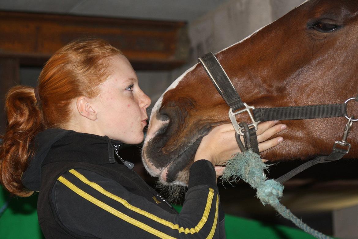 Holstener Cassino Star - SKADET/SOLGT - jeg elsker dig så sindsygt meget Cassi.. jeg er så ked af det hele.. jeg har fuld forståelse for hvis du ikk vil tilgive mig for det kan jeg heller ikk selv...:'( billede 17