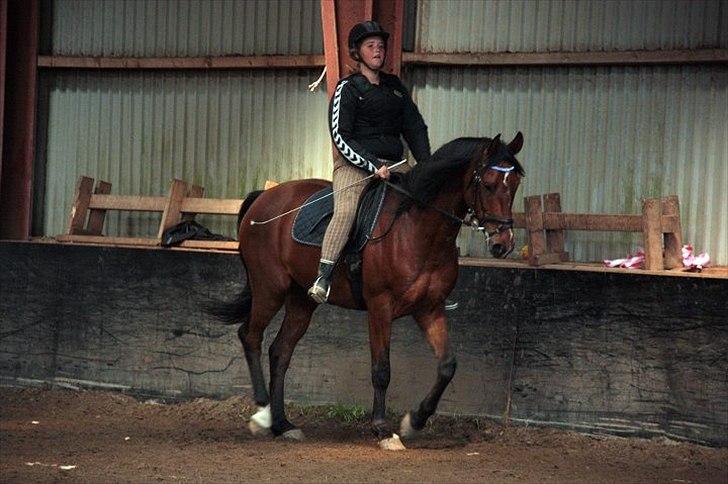 Anden særlig race Ocean billede 9