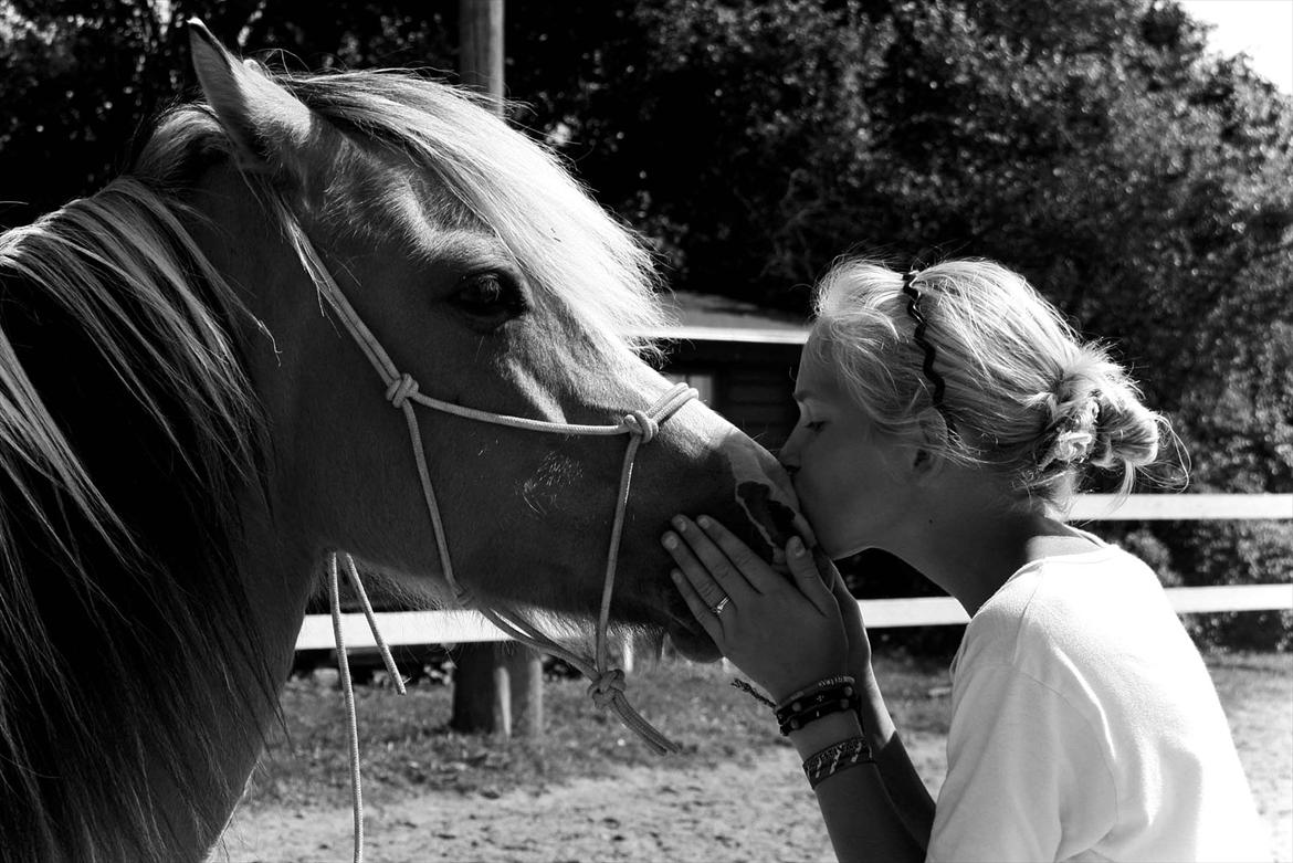 Anden særlig race Princess R.I.P †SOULMATE† - Princess? Der er mange ting jeg ikke nåede at fortælle dig. Der er mange ting jeg gerne ville ha' fortalt dig. Nu fortæller jeg dig det gennem mine drømme & min sjæl. - jeg elsker dig Sulabu. Dig & mig, altid. <3  billede 1