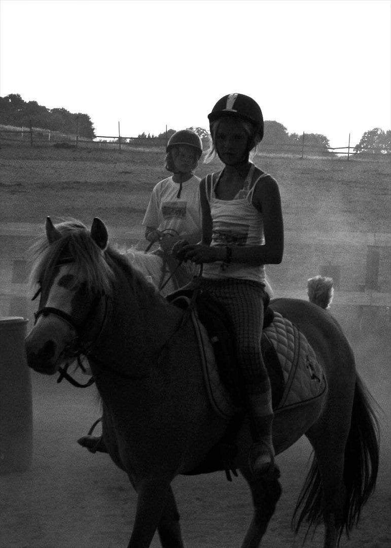 Anden særlig race Princess R.I.P †SOULMATE† - Dette billede betyder utrolig meget! Dette billede er fra den sidste ridelejr jeg havde sammen med min sjæl (': <3 Det var den bedste ridelejr i mit liv. <3 billede 10