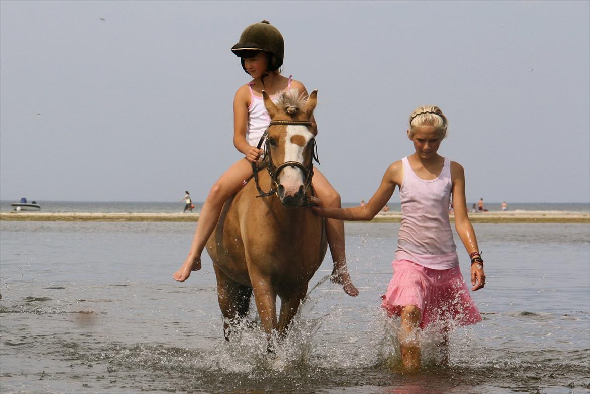 Anden særlig race Princess R.I.P †SOULMATE† - Vand kunne du ikke så god li, men denne gang stolede du virkelig på mig. Jeg passede på dig & du fulgte mig ned i vandet! <3  billede 4