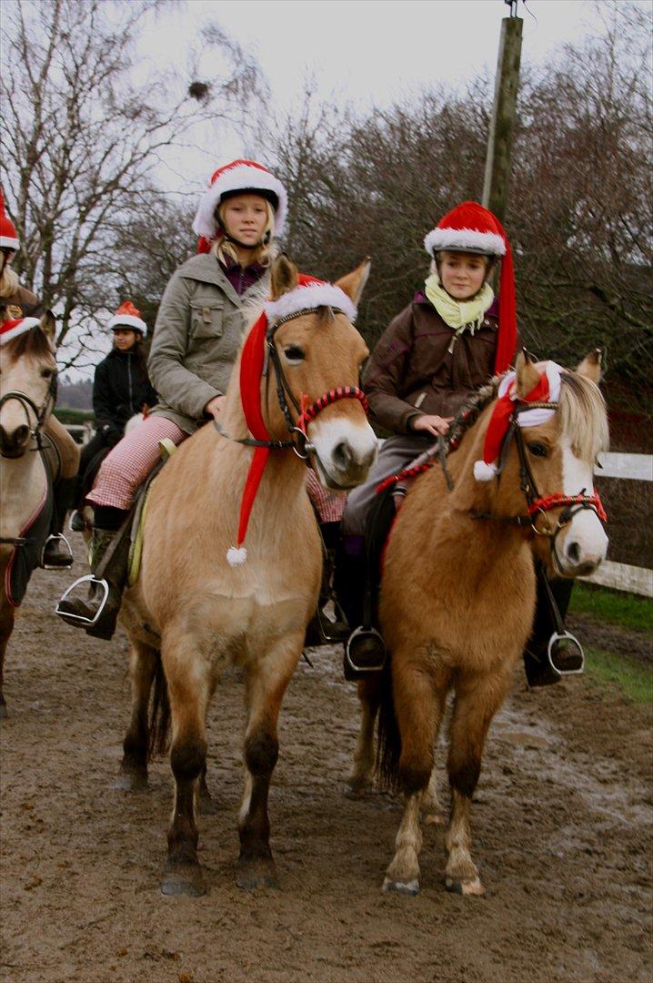 Anden særlig race Princess R.I.P †SOULMATE† - Ko & Ida + Sulabu & Signe forevigt og altid! <3 billede 14