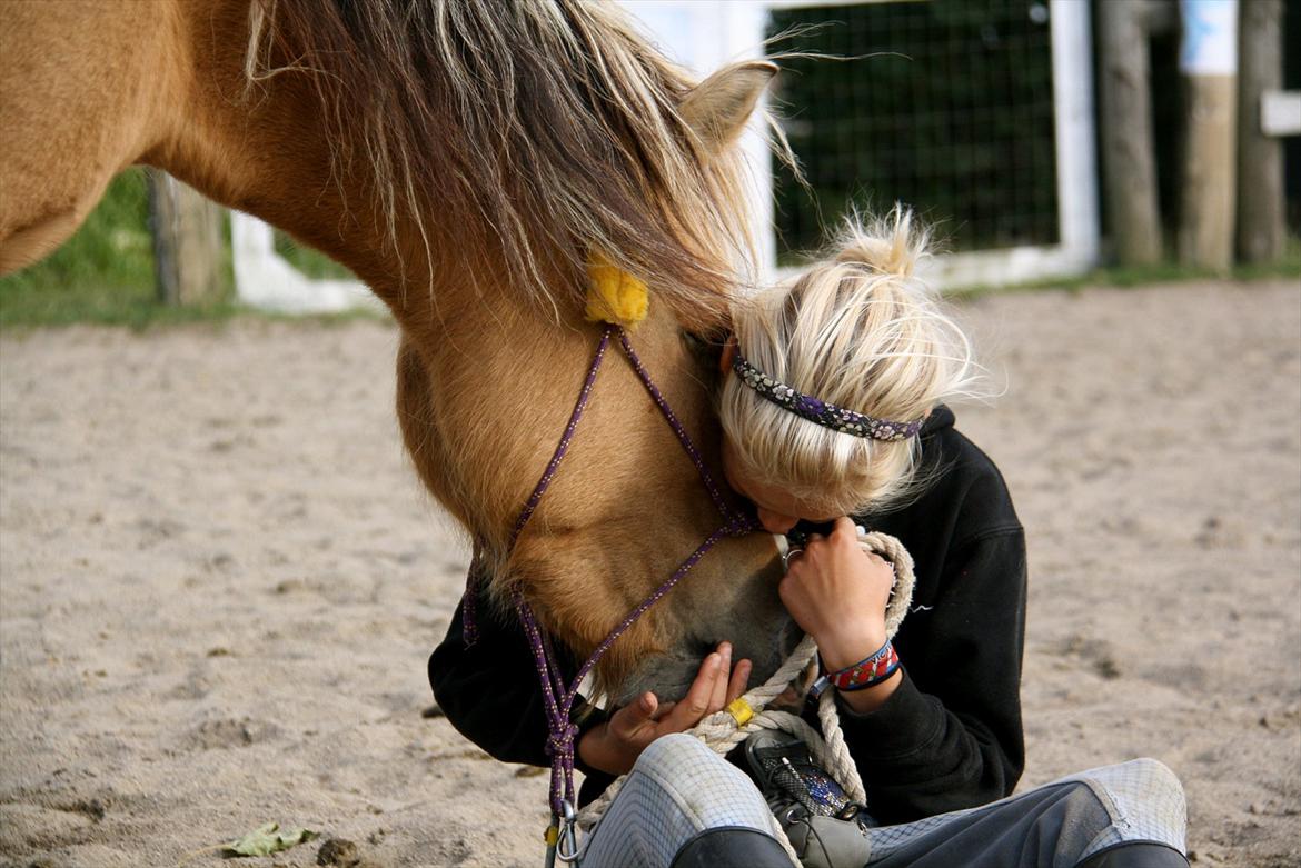 Anden særlig race Princess R.I.P †SOULMATE† -  Du var min engel på ben, nu er du min engel med vinger & det vil du altid være. Jeg vil aldrig glemme dig! <3 billede 18