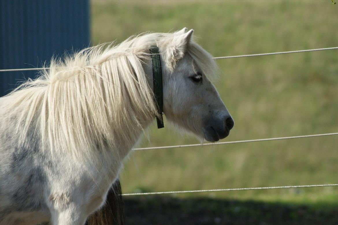 Miniature Emma Bredager billede 16