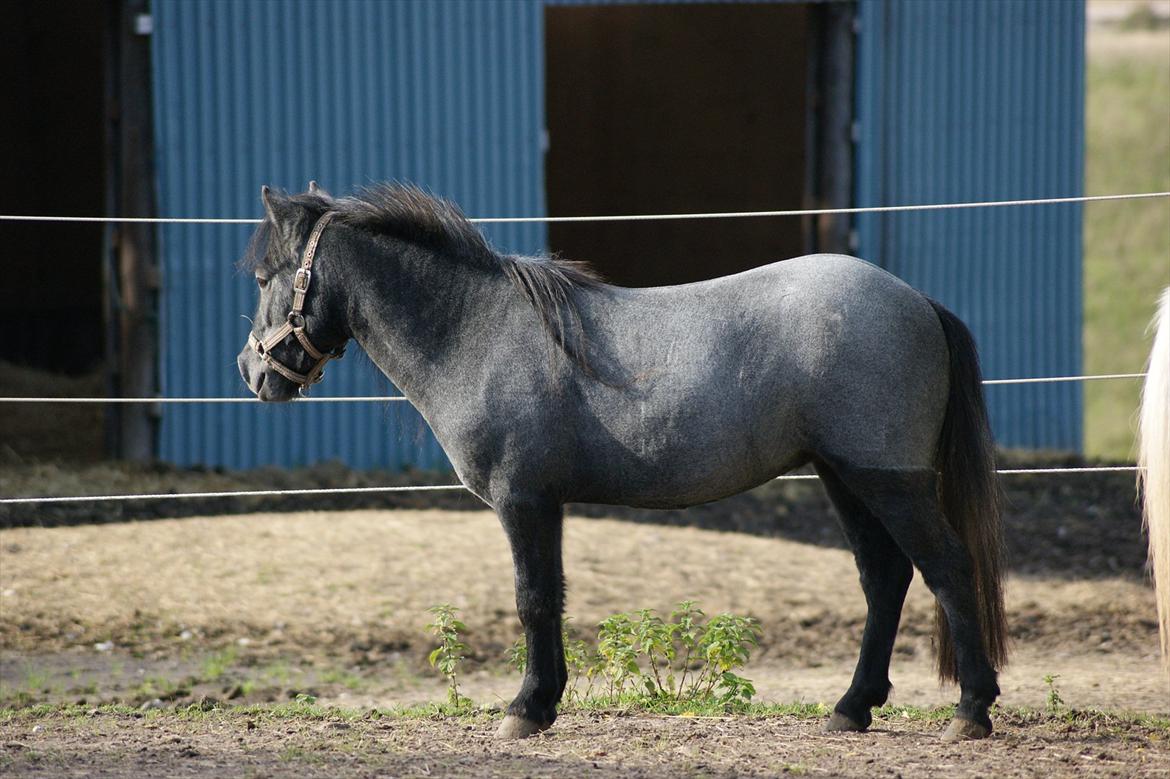 Miniature Emilie Bredager billede 13