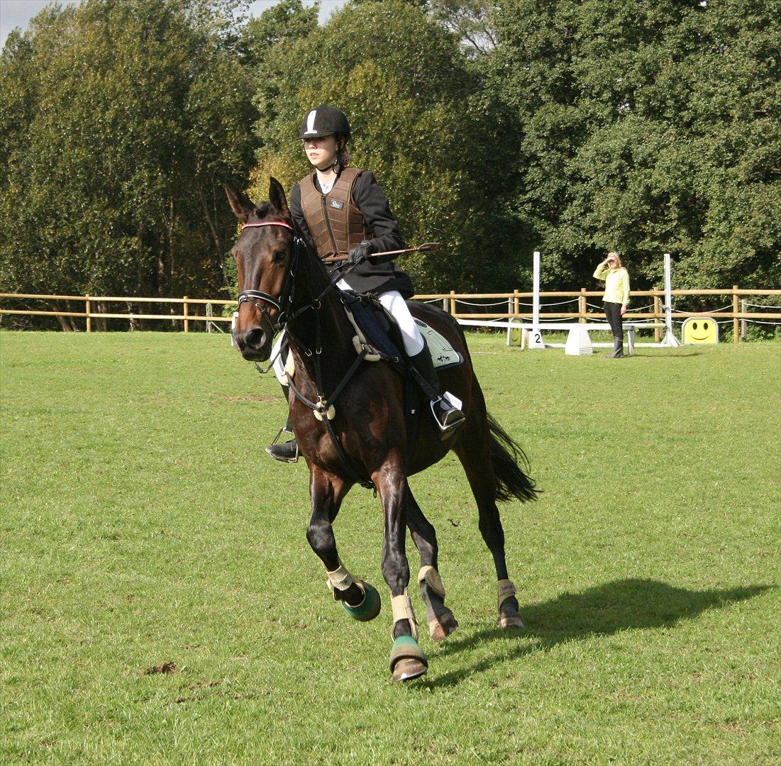 Anden særlig race Casino Royale(Black Star) - ..My world, my life, my baby.. billede 10