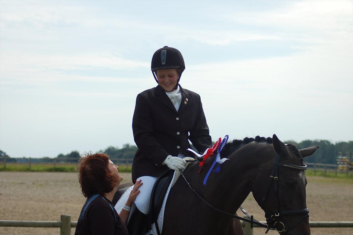 Trakehner Donaufee VI E billede 15