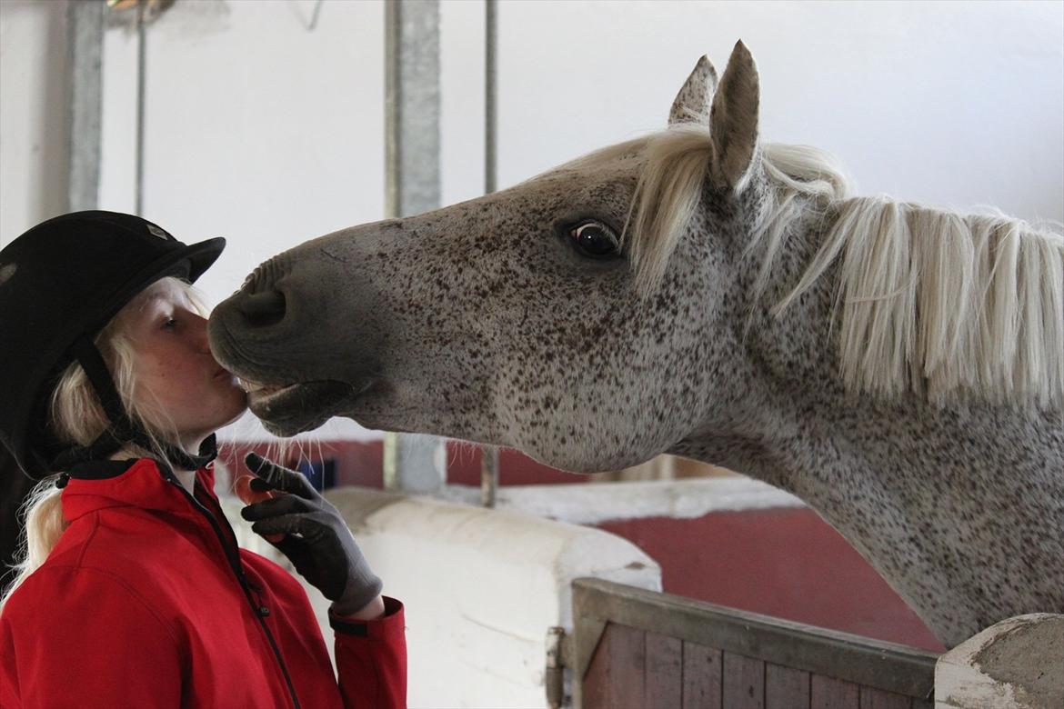 Anden særlig race Carlo - SOLGT - jeg savner dig mussi :-*  billede 5