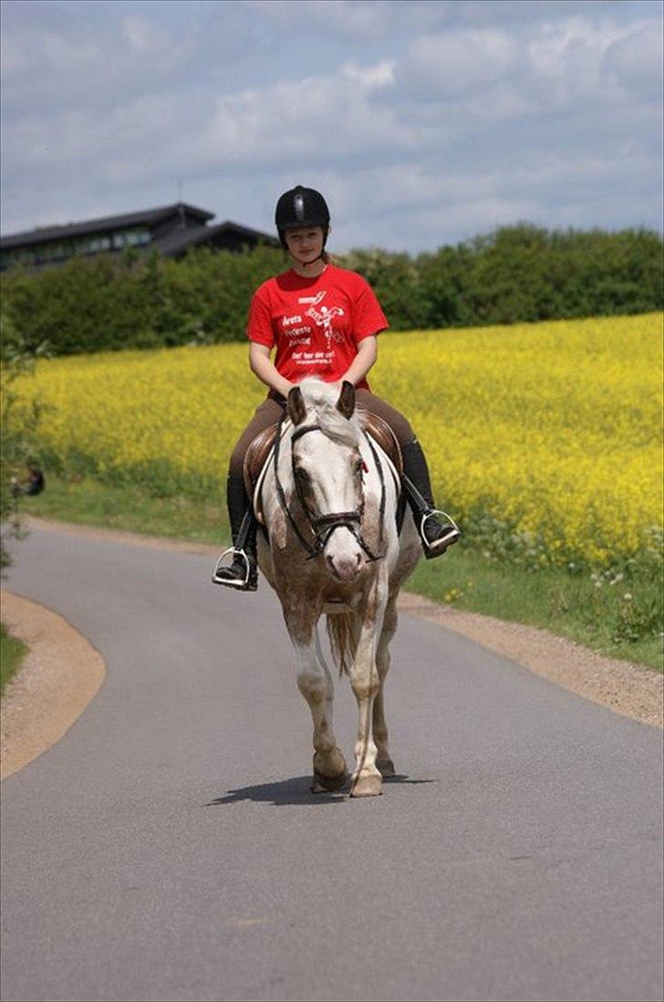 Anden særlig race MR MARTIN - Da jeg så dig, var det som at finde hjem.<3
 billede 15