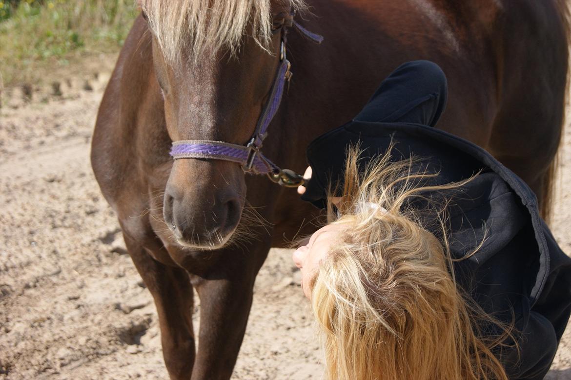 DSP Jolene  billede 15