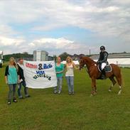 Hollandsk Sportspony Rocko<3A-PONY!!<3