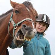 Anden særlig race Calvados 