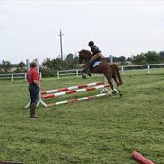 Anden særlig race Cindy H [ Min Pony]