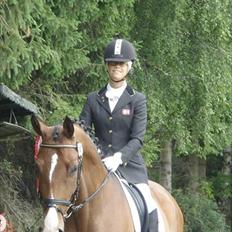 Dansk Varmblod Stenkjers Filippa