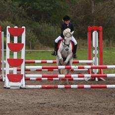 Anden særlig race milan