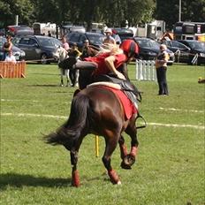 DSP Kvazandra Lapaz<3 