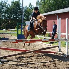Anden særlig race Lise (DK) | Tidl. lånehest | R.I.P.