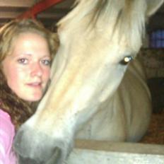 Fjordhest Oblings chelsea