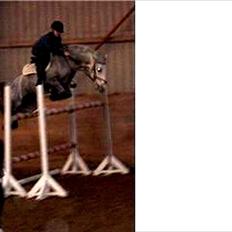 Connemara Philipstatt's Gaia, min soulmate