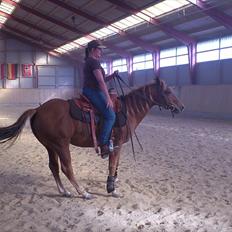 Quarter Are U Whiz Me