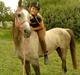 Arabisk fuldblod (OX) Fantasy biint el mokari ox //MY SOULMATE!<3// [tid