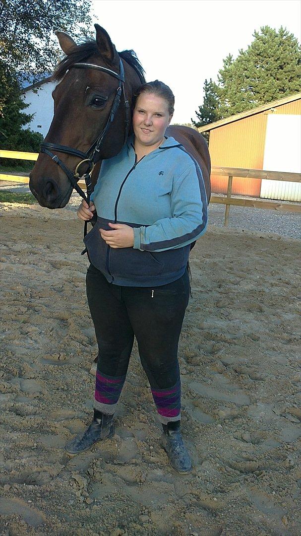 Dansk Varmblod Jutlandias Balou billede 7