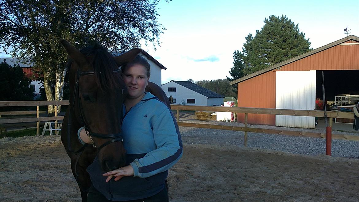 Dansk Varmblod Jutlandias Balou billede 8