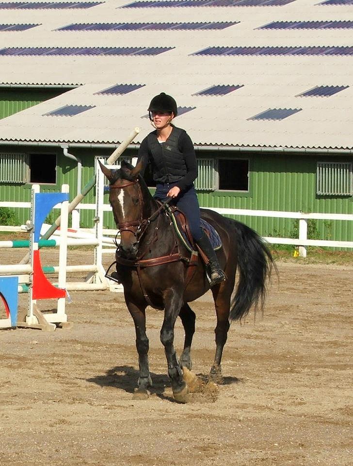 Westfaler Roma - Roma og jeg! :) .. Foto: Anette Esmann billede 15