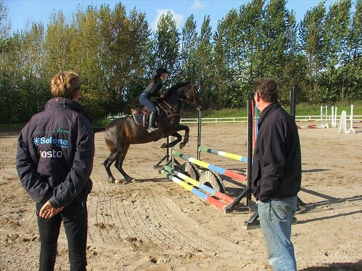 Westfaler Roma - Springtræning d.15-09-11 Foto: Anette Esmann billede 16