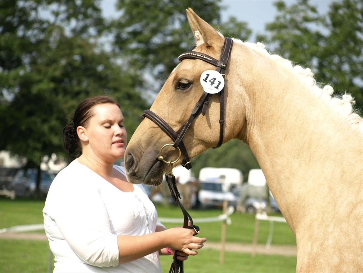 Palomino Østrupgårds Vanilla - to år og på store hestedag billede 15