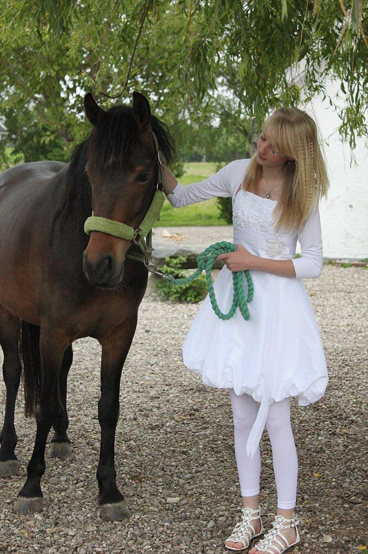 Anden særlig race Bakkegårdens Playboy - Min elskede dreng og jeg til min konfirmation <3 *Foto Syrine Glambert* [2011] billede 13
