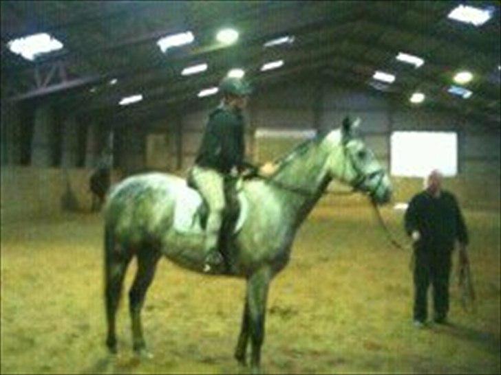 Anden særlig race Anastacia (Solgt) - Anden gang jeg var på ryggen af prinsessen (:  billede 9