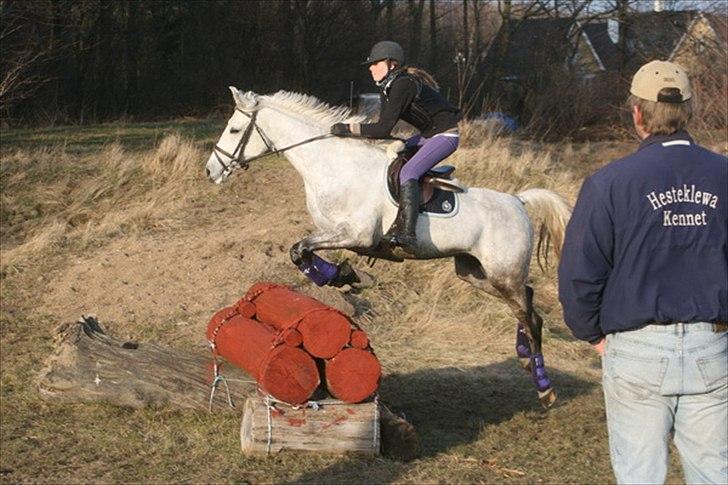 Shagya Araber (SH) Silke Mellemgård  B-Pony - 2011's første terræn-træning, der hvor alt ændred sig.... billede 13