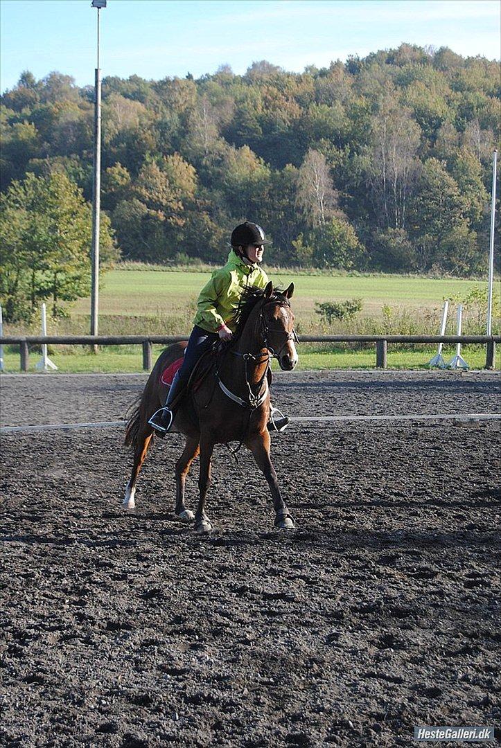 DSP - ELVITA <3 - "Der er mange stjerner i unverset, men du er stjernen jeg vil have!"

mit et og alt<3 10 oktober 2010 MSP foto billede 12