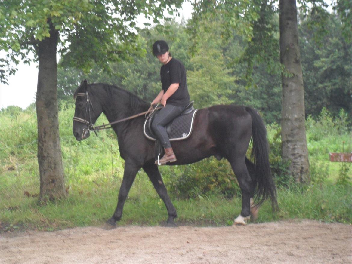 Oldenborg bastian billede 17