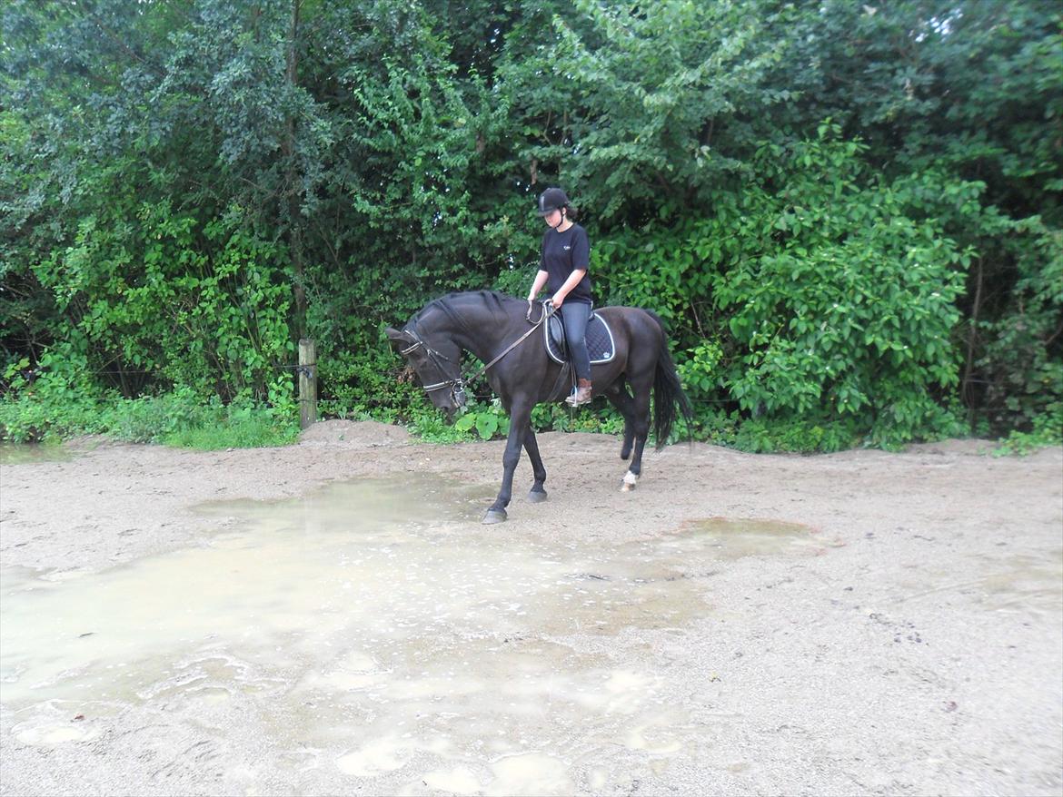 Oldenborg bastian billede 19